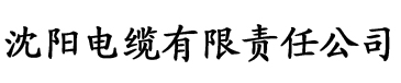 国产真人一级a爱做片特级电缆厂logo